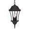 Homeroots 19.5 x 9.5 x 9.5 in. Bryn Mawr 3-Light Matte Black Hanging Light 397995 - alternate 1